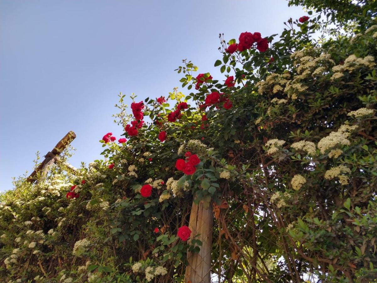 El Parralito * Mendoza