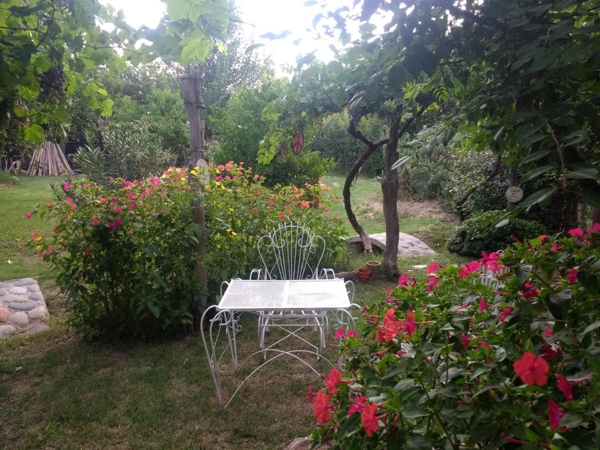El Parralito Apartment