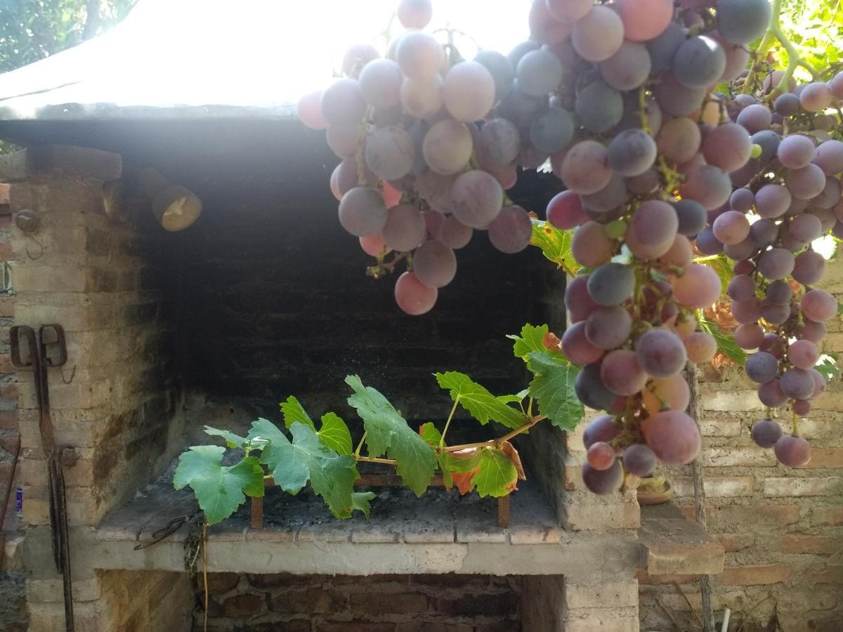 El Parralito * Mendoza