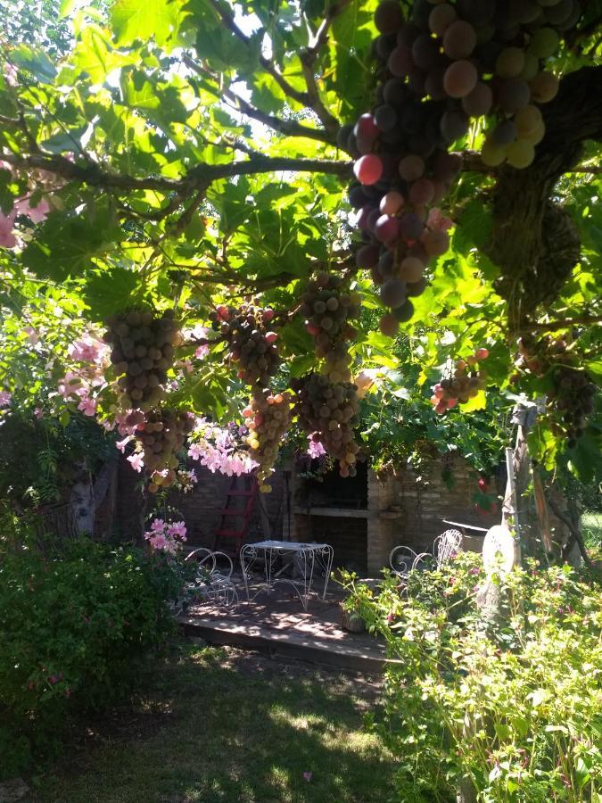 El Parralito Mendoza